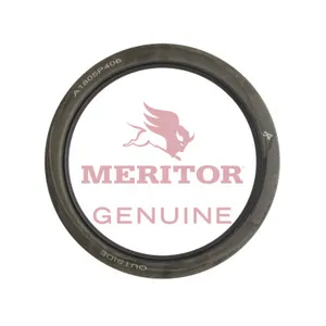 Meritor SEAL 3056167 