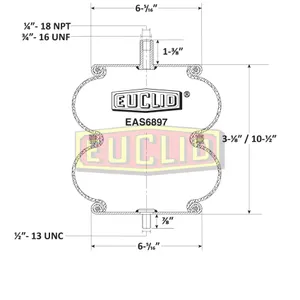 Euclid Air Spring 6351216 