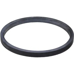SKF O-Ring 1790061 