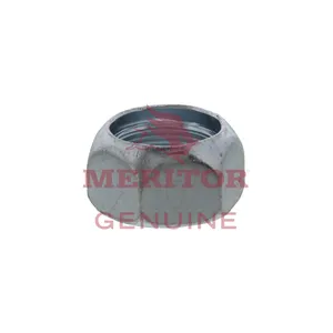 Meritor Cap Nut 265802 
