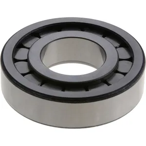 Spicer Differential Bearing 220814 