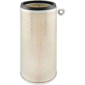 Baldwin AIR FLTER 1436276 