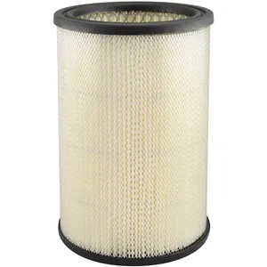 Baldwin AIR FILTER 1438710 
