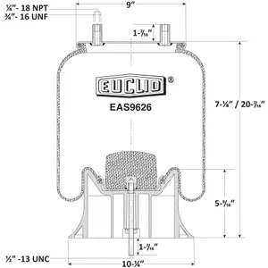 Euclid Air Spring 6351316 