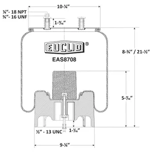 Euclid Air Spring 6350580 