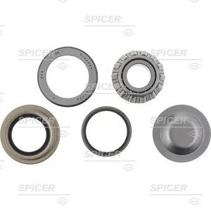 Spicer KIT KING PIN 2597110 