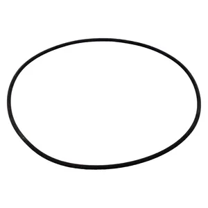 Muncie O-RING CS20 2703881 