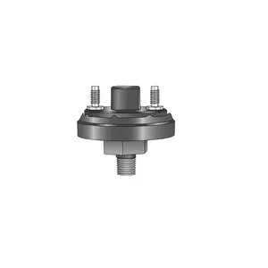 Haldex ZINC BRASS BOLT 672936 