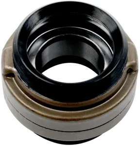 SKF Bearing 1786194 