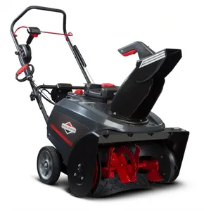 Briggs & Stratton SNAPPER 22 INCH 1212482 