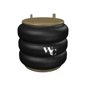 Watson & Chalin AIR SPRNG 1140084 