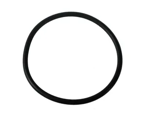 Armada Gasket - Fuel Tank Cap 272290 