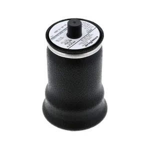 PAI Air Spring, Suspension 251286 