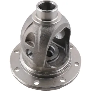 Spicer DIFF. CASE 423006 