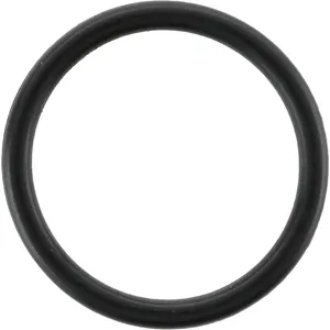 Spicer O RING .709 563894 