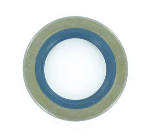 SKF Seal 484370 
