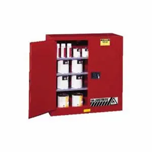Justrite Mfg. Co. 2 DOOR SAFETY C 1253304 