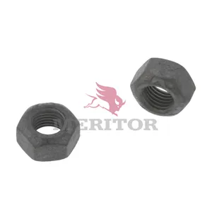 Meritor Lock Nut 1000087 