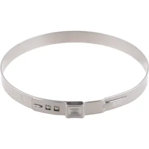 Spicer BOOT CLAMP 369938 