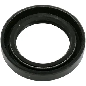 SKF Seal 480938 