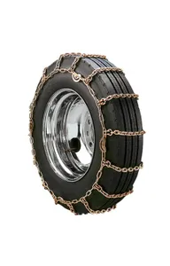Security Chain CHAINS 1033282 