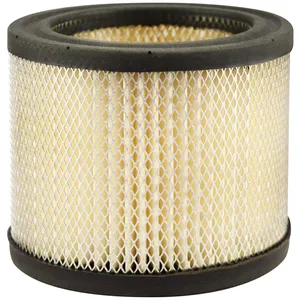 Baldwin Air Element 238518 
