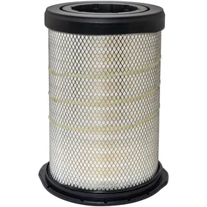 Baldwin Air Filter 295896 