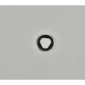 Spicer LOCK WASHER 499012 