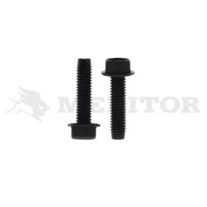 Euclid Screw 1107797 