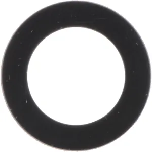 Spicer Washer 220846 