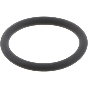 Spicer O RING PISTON 535736 