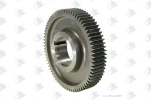 Euroricambi OVERDRIVE GEAR 317210 