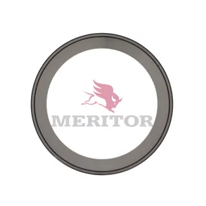 Meritor Bearing Cup 766746 