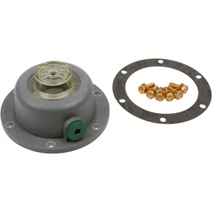 SKF Hubcap 487066 