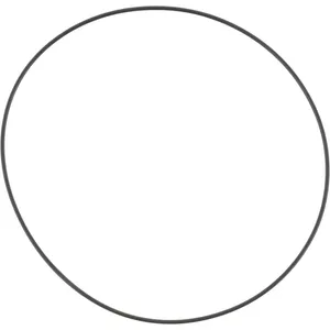 Spicer O RING 517690 