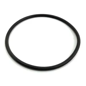Spicer O RING 309618 