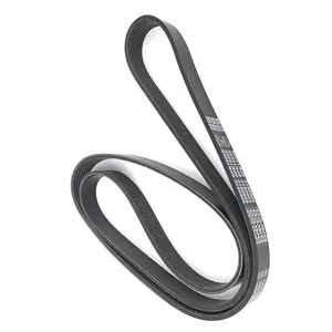 Dayco Serpentine Belt 296198 