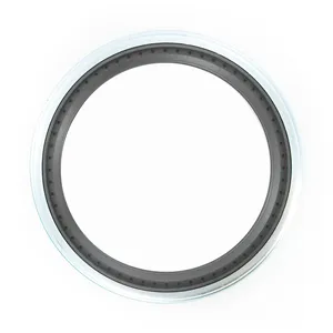 SKF Seal 363600 
