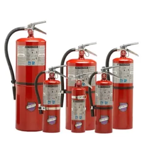 Buckeye 5LB ABC WO B 804766 