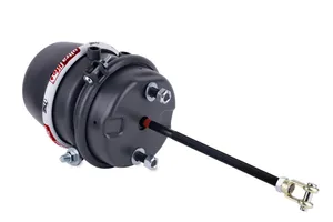 TSE Spring Brake (Piggy Back) Assembly 233768 