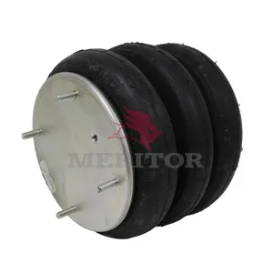 Firestone Air Spring 756628 