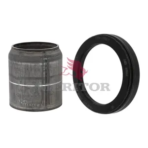 Meritor Rebuild Kit 781300 