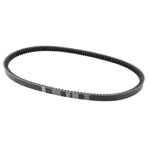 Dayco Accessory Drive Belt 295758 