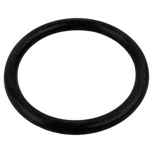 Armada O-RING 897516 