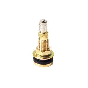 Group 31 VALVE 1031530 