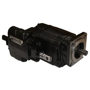 Heavy Motions PUMP 261698 