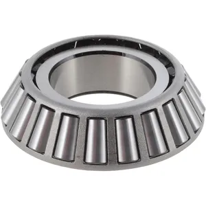 Spicer Differential Bearing 220096 