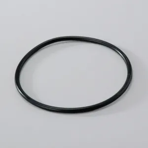 Donaldson O RING 1114269 