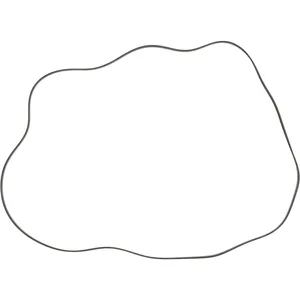 Spicer RING 498554 