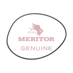 Meritor O Ring 315024 